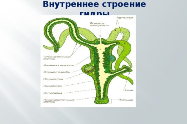 Darknet прохождение